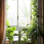 Decorar casas con plantas