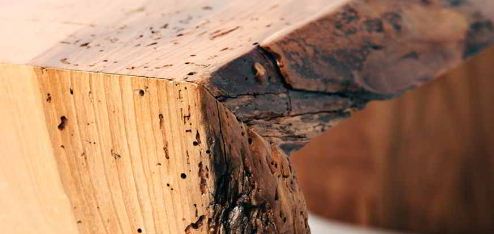 Como combatir los insectos de la madera de nuestra casa