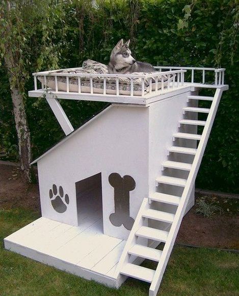 Diseños de casas para perros con terraza